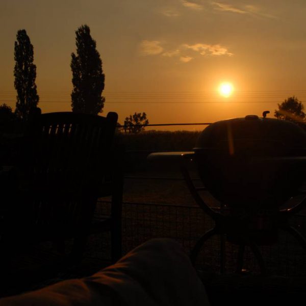 Notre terrasse avec vue sur le Ried Horbourg-Wihr 15
