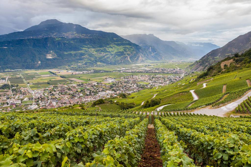 ALSACE | Les Loges du Ried Brochure Alsace Ribeauville