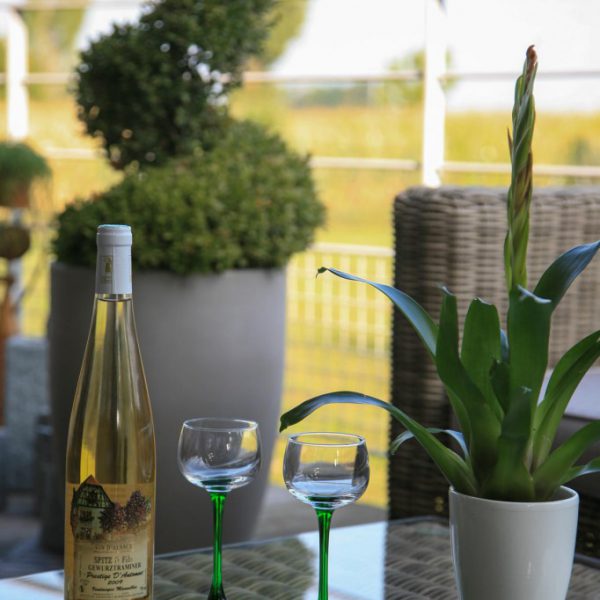 Notre terrasse avec vue sur le Ried Ribeauville 0