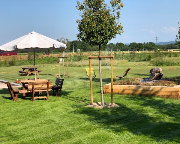 Notre terrasse avec vue sur le Ried Ingersheim 9