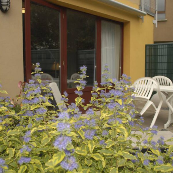 Galerie photos Les Loges du Ried Alsace Horbourg-Wihr 4