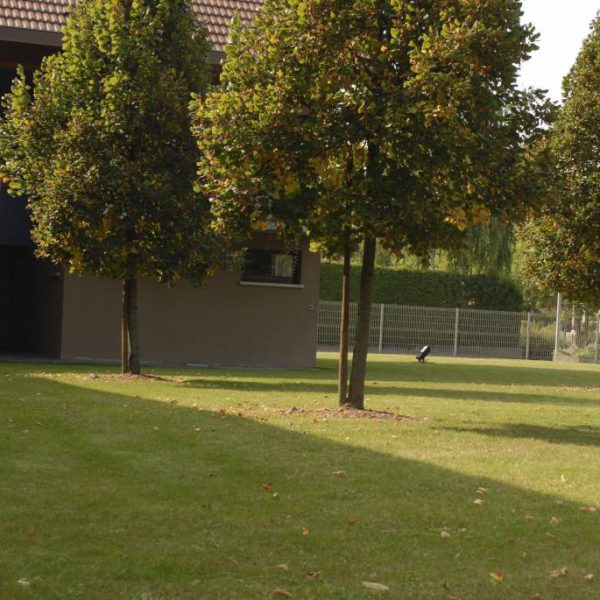 Galerie photos Les Loges du Ried Alsace Sainte-Marie-aux-Mines 3