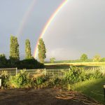 Un h&ocirc;tel familial id&eacute;alement situ&eacute; en Alsace Ingersheim 12