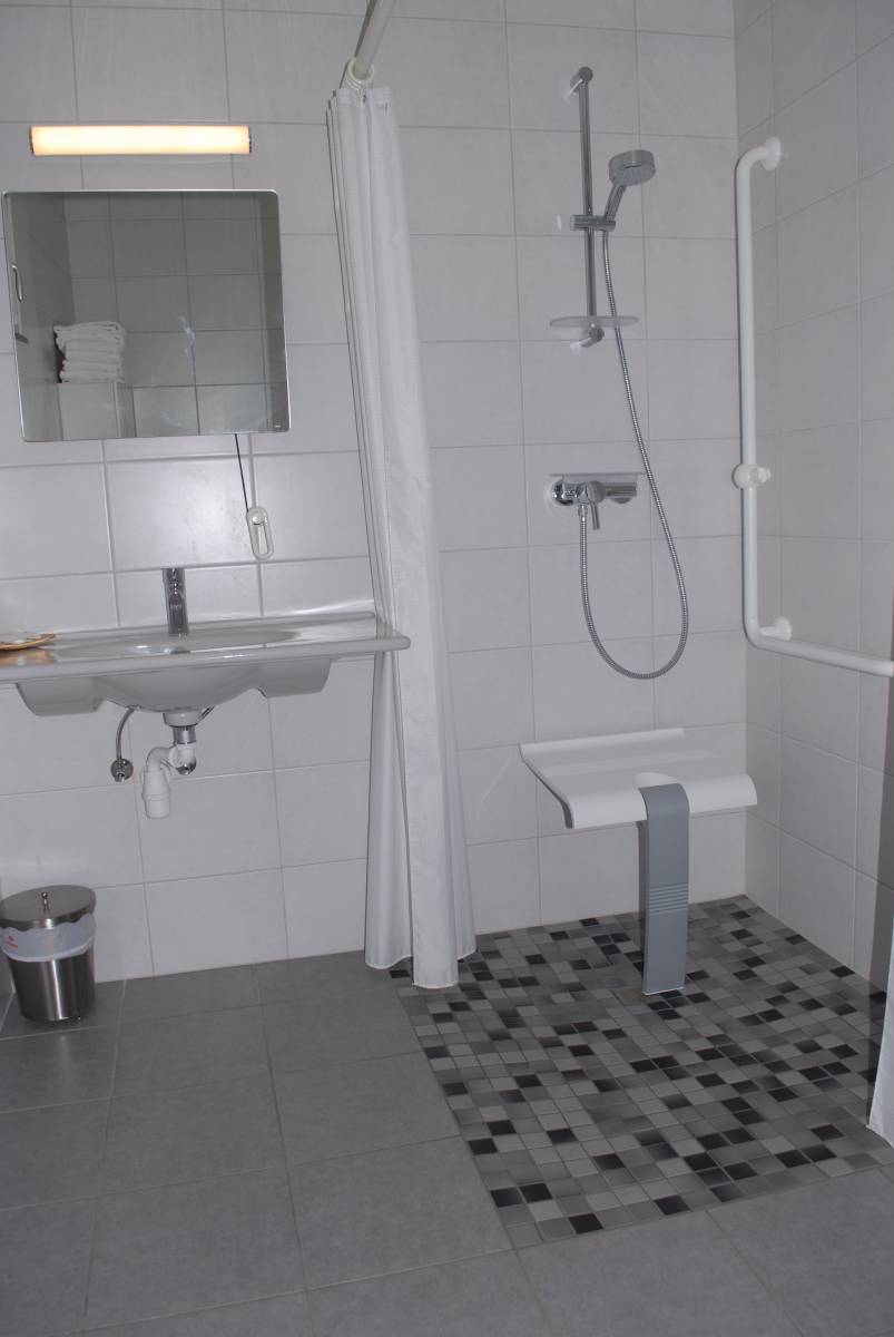DSC_0743 | Les Loges du Ried Hôtel avec appartement de vacances pour personnes à mobilité réduite à Marckolsheim en Alsace Benfeld 6