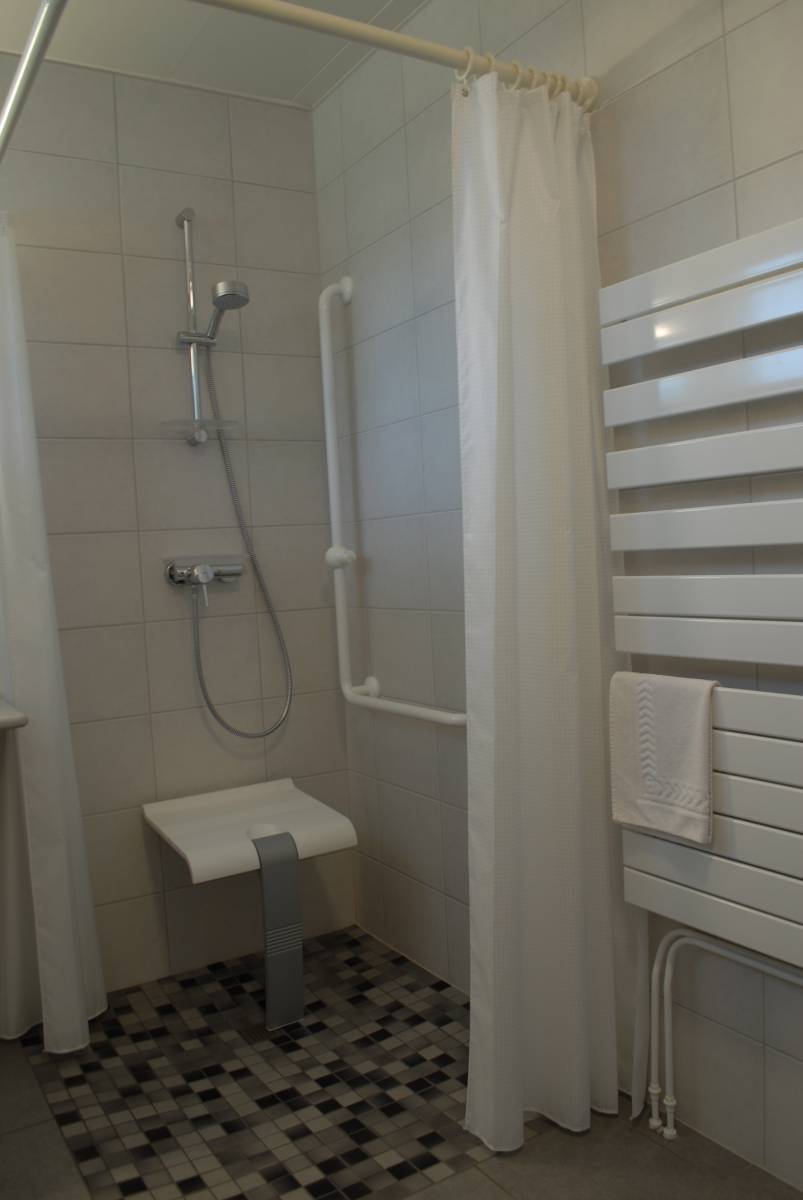 DSC_0747 | Les Loges du Ried Hôtel avec appartement de vacances pour personnes à mobilité réduite à Marckolsheim en Alsace Barr 5