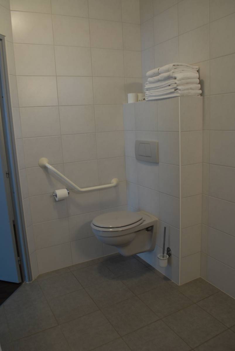 DSC_0753 | Les Loges du Ried Hôtel avec appartement de vacances pour personnes à mobilité réduite à Marckolsheim en Alsace Colmar 7