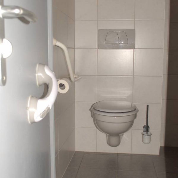 Un appartement bien &eacute;quip&eacute; pour les personnes &agrave; mobilit&eacute; r&eacute;duite Horbourg-Wihr 18