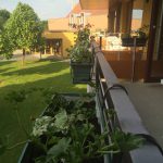 IMG_9821 150X150 | Les Loges du Ried Le bien-être aux Loges passe par les géraniums … Benfeld 1