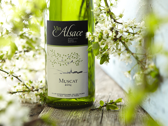 VINS DALSACE | Les Loges du Ried La route des vins à 20 minutes de Marckolsheim Rouffach