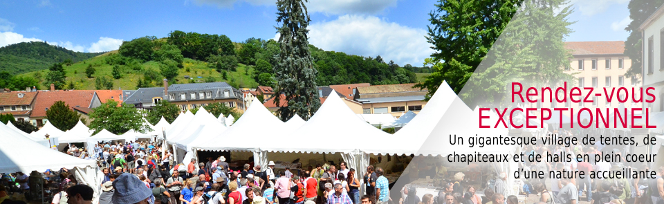 MINERAL ET GEM | Les Loges du Ried L’expo le Minéral et Gem à seulement 36 km des Loges du Ried ! Wintzenheim