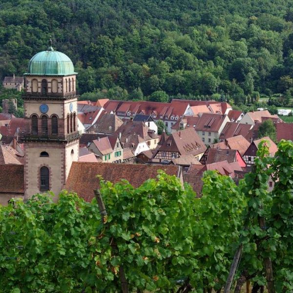 H&ocirc;tel familial proche de la Route des Vins d’Alsace Benfeld 21