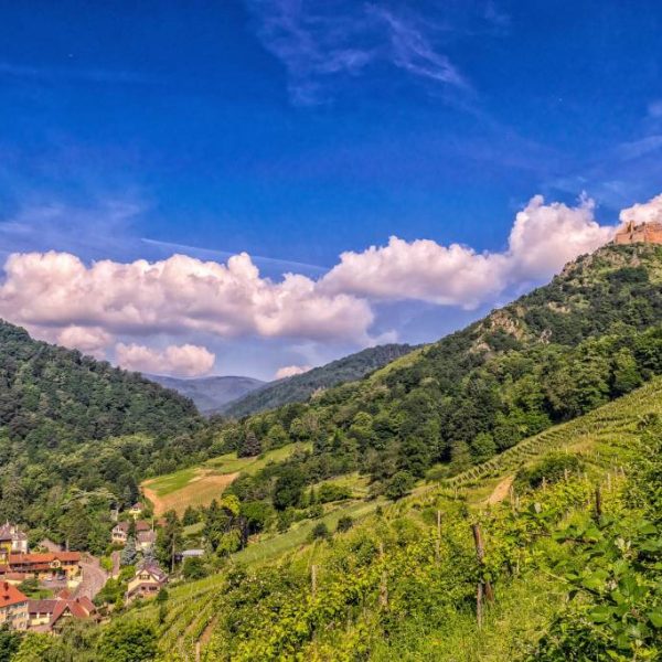 H&ocirc;tel familial proche de la Route des Vins d’Alsace Horbourg-Wihr 22