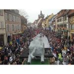 TÉLÉCHARGEMENT 1 1 150X150 | Les Loges du Ried Les Loges Du Ried, un hôtel situé idéalement au centre des féstivités de carnaval en Alsace Benfeld 2