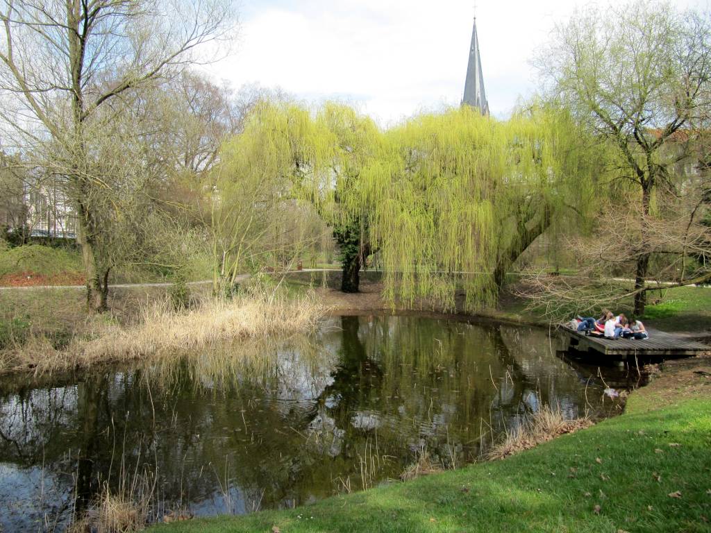 JARDIN_BOTANIQUE_DE_STRASBOURG_ _ÉTANG | Les Loges du Ried Hôtel climatisé en Alsace Centrale dans le Ried Horbourg-Wihr