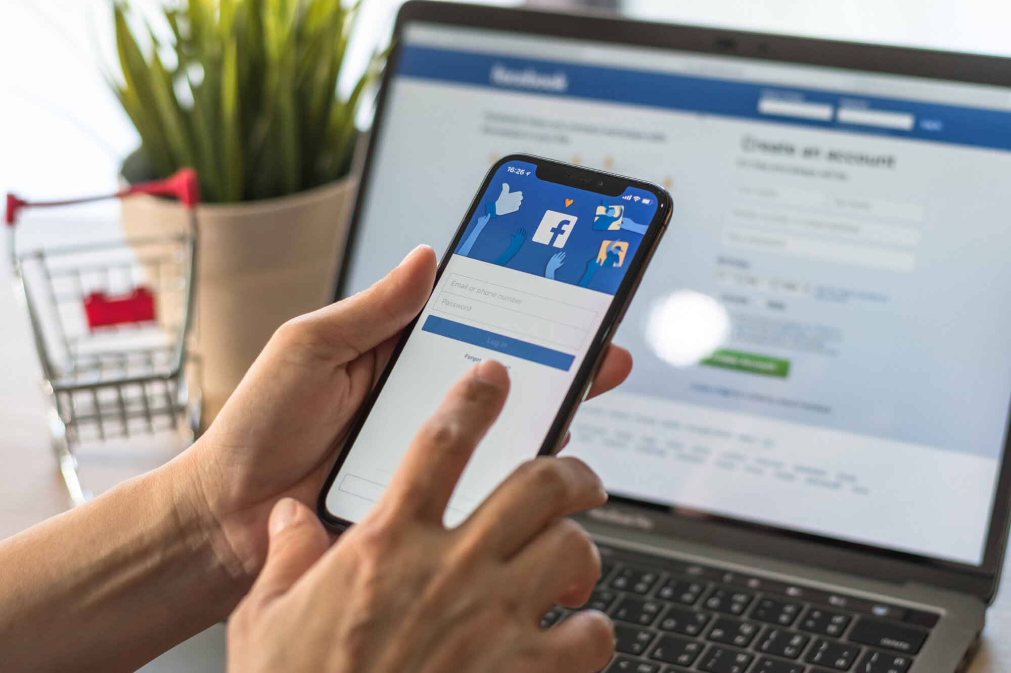 FACEBOOK | Les Loges du Ried Notre page Facebook Les loges du Ried Horbourg-Wihr
