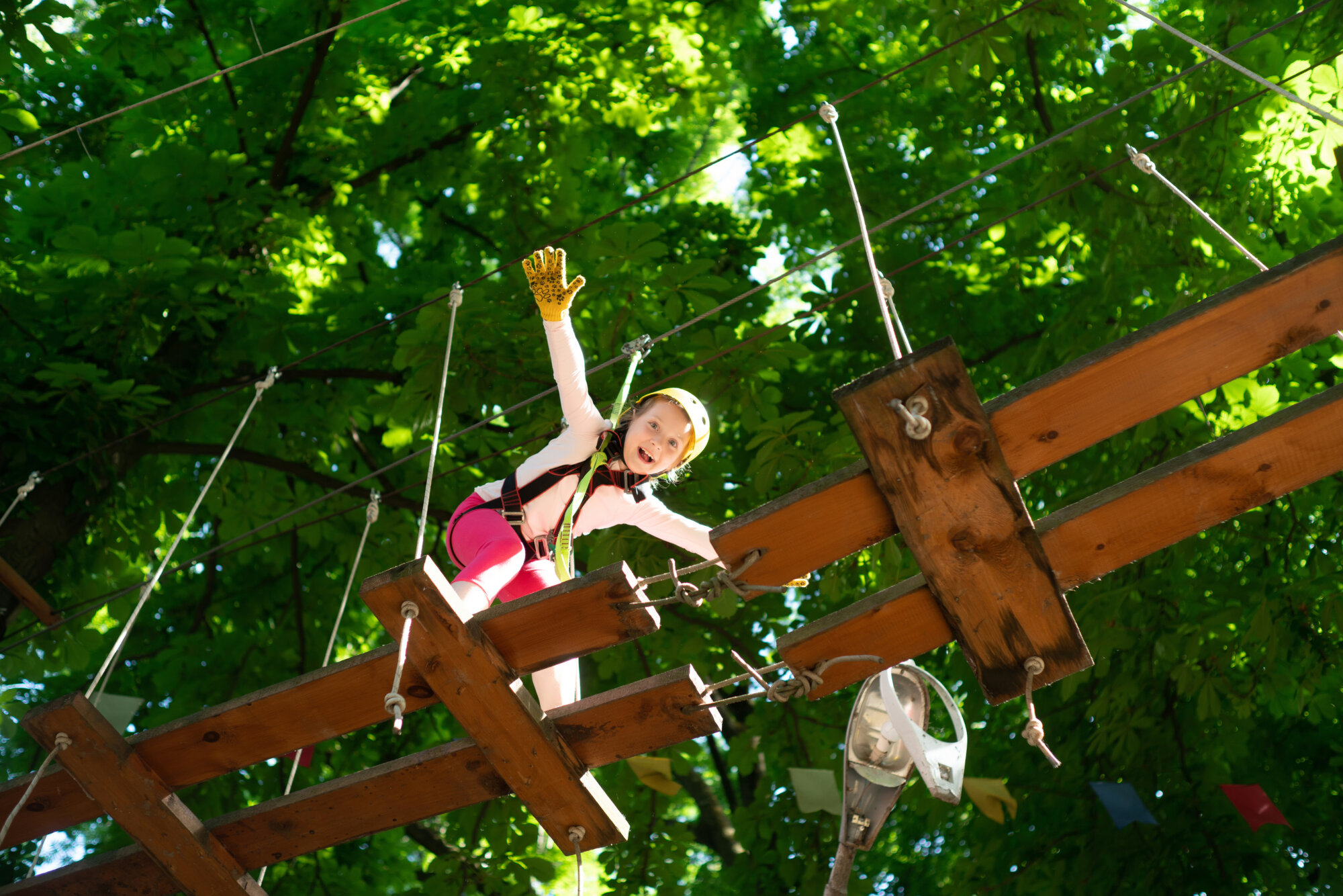 PARC ALSACE AVENTURE | Les Loges du Ried Parc Alsace Aventure Ribeauville