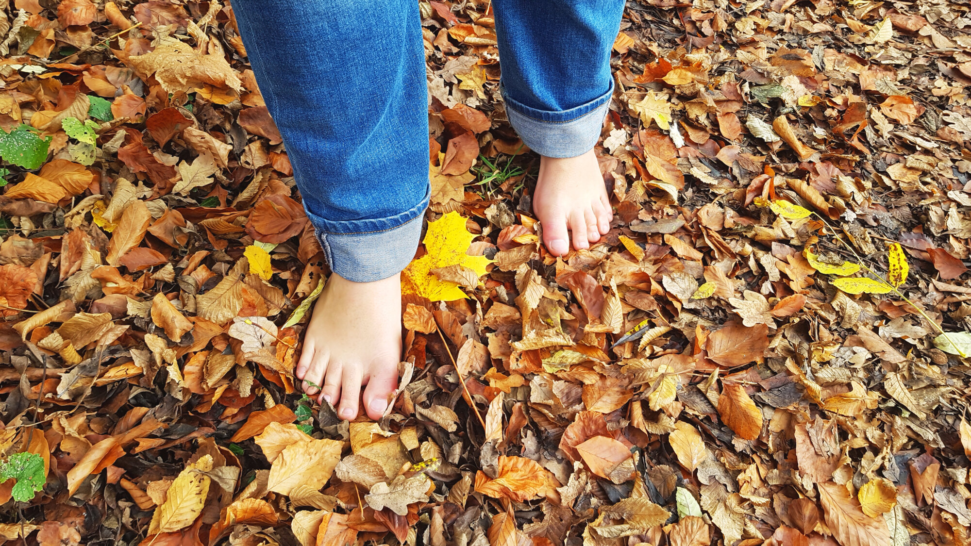 PIED NUS | Les Loges du Ried SensoRied, un sentier pieds nus dans le Ried Ingersheim
