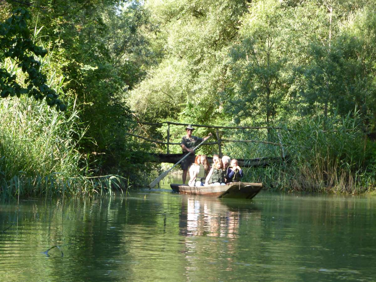 RIED BATEAU | Les Loges du Ried Découvrez le Ried d’Alsace Sélestat