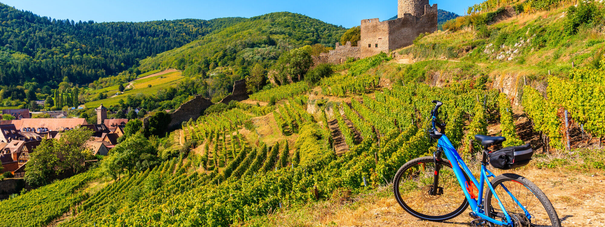 H&ocirc;tel pour cyclotouristes&nbsp;&agrave; Marckolsheim : votre&nbsp;&eacute;tape&nbsp;id&eacute;ale sur l’EuroVelo&nbsp;15 en Alsace S&eacute;lestat