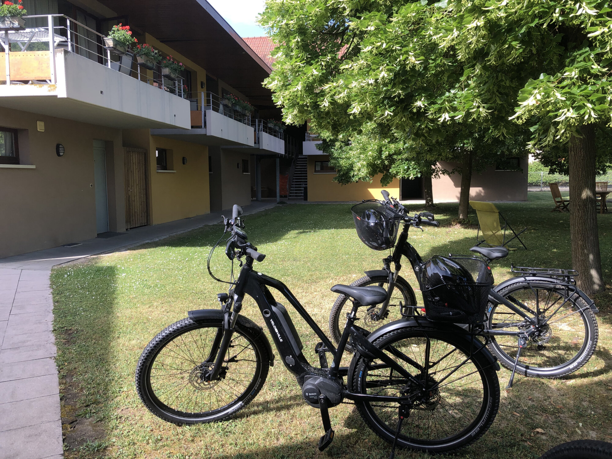 IMG_5406 | Les Loges du Ried Les Loges du Ried : une halte idéale pour les amateurs de cyclotourisme en Alsace Sélestat